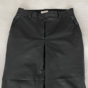 Aritzia Babaton Black Leather Trousers